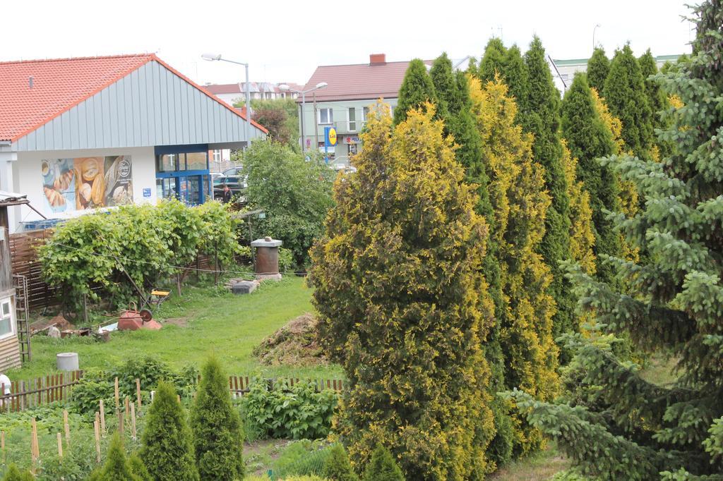 Apartament u Marzenki Augustów Zewnętrze zdjęcie
